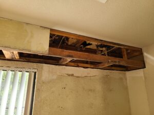 damaged kitchen drywall